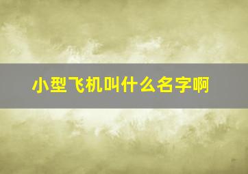 小型飞机叫什么名字啊