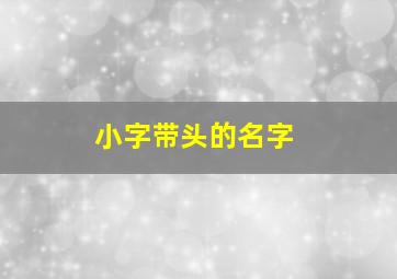 小字带头的名字