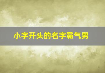 小字开头的名字霸气男