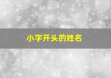 小字开头的姓名