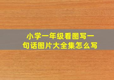 小学一年级看图写一句话图片大全集怎么写