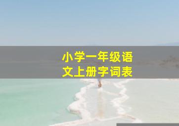 小学一年级语文上册字词表