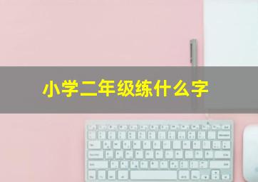 小学二年级练什么字