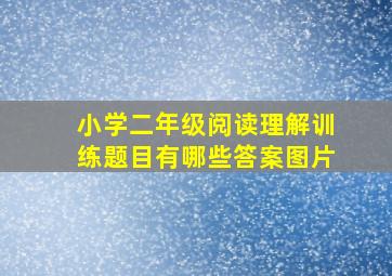 小学二年级阅读理解训练题目有哪些答案图片