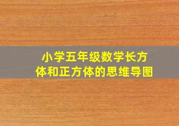 小学五年级数学长方体和正方体的思维导图