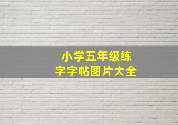 小学五年级练字字帖图片大全