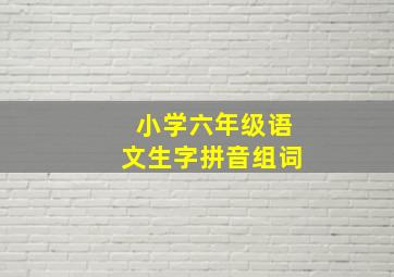 小学六年级语文生字拼音组词