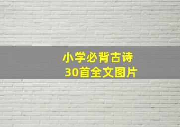 小学必背古诗30首全文图片