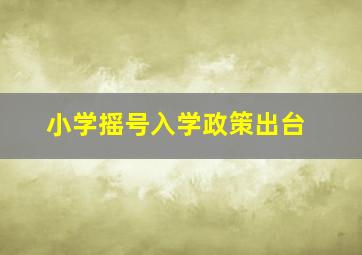 小学摇号入学政策出台