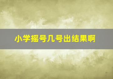 小学摇号几号出结果啊