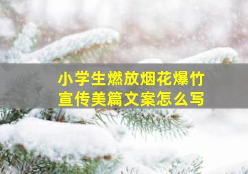 小学生燃放烟花爆竹宣传美篇文案怎么写