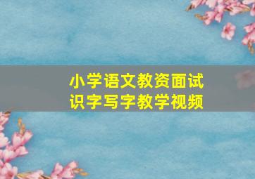 小学语文教资面试识字写字教学视频