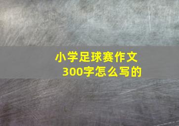 小学足球赛作文300字怎么写的