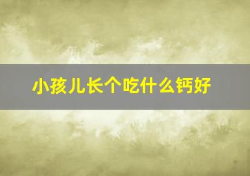 小孩儿长个吃什么钙好