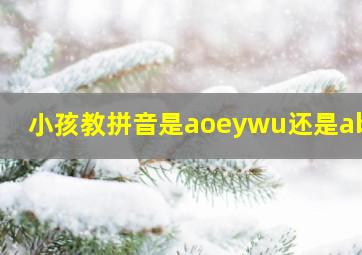 小孩教拼音是aoeywu还是abcd