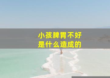 小孩脾胃不好是什么造成的