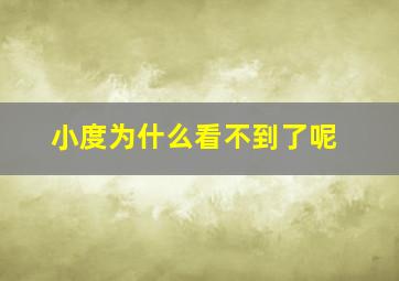 小度为什么看不到了呢