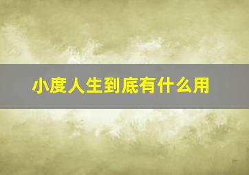 小度人生到底有什么用