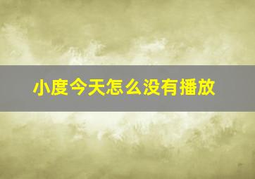 小度今天怎么没有播放