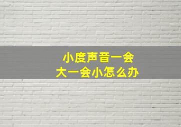 小度声音一会大一会小怎么办