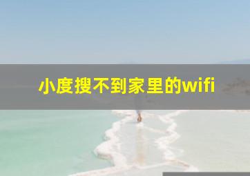 小度搜不到家里的wifi