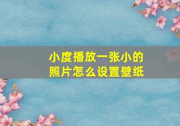 小度播放一张小的照片怎么设置壁纸