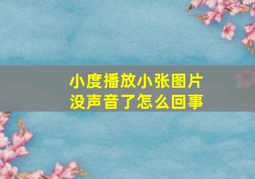 小度播放小张图片没声音了怎么回事