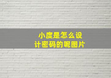 小度是怎么设计密码的呢图片