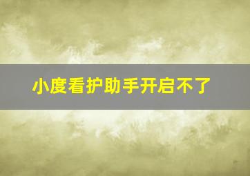 小度看护助手开启不了