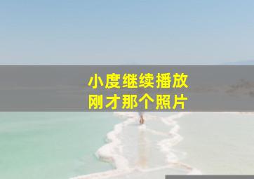 小度继续播放刚才那个照片