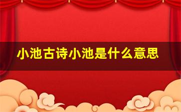 小池古诗小池是什么意思