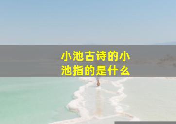 小池古诗的小池指的是什么