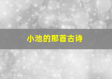 小池的那首古诗