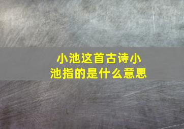 小池这首古诗小池指的是什么意思