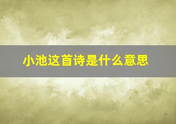 小池这首诗是什么意思