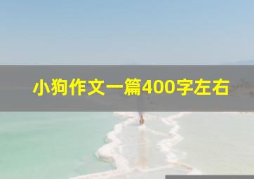 小狗作文一篇400字左右