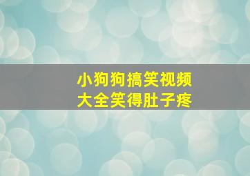 小狗狗搞笑视频大全笑得肚子疼