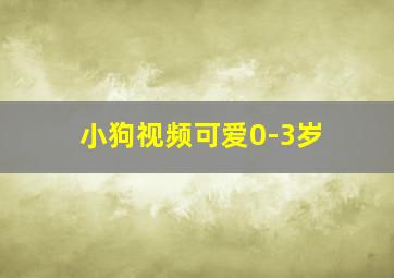 小狗视频可爱0-3岁