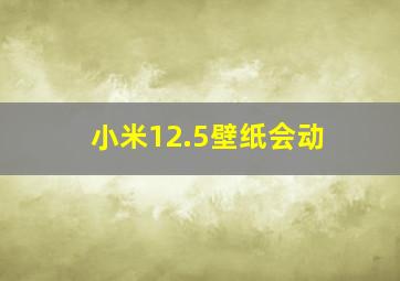 小米12.5壁纸会动