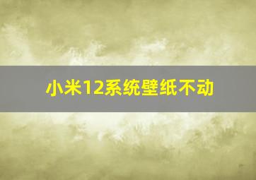 小米12系统壁纸不动