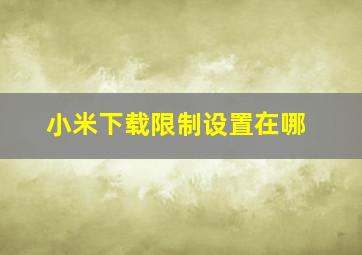 小米下载限制设置在哪