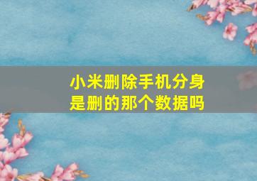 小米删除手机分身是删的那个数据吗