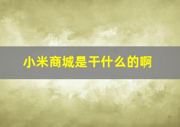 小米商城是干什么的啊