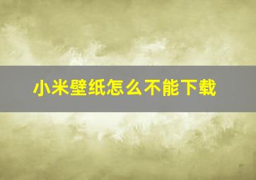 小米壁纸怎么不能下载