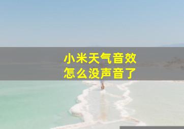 小米天气音效怎么没声音了