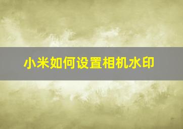 小米如何设置相机水印