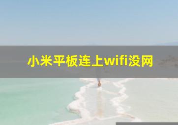 小米平板连上wifi没网