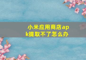 小米应用商店apk提取不了怎么办