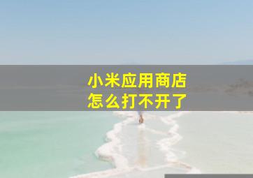 小米应用商店怎么打不开了