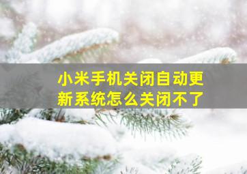 小米手机关闭自动更新系统怎么关闭不了